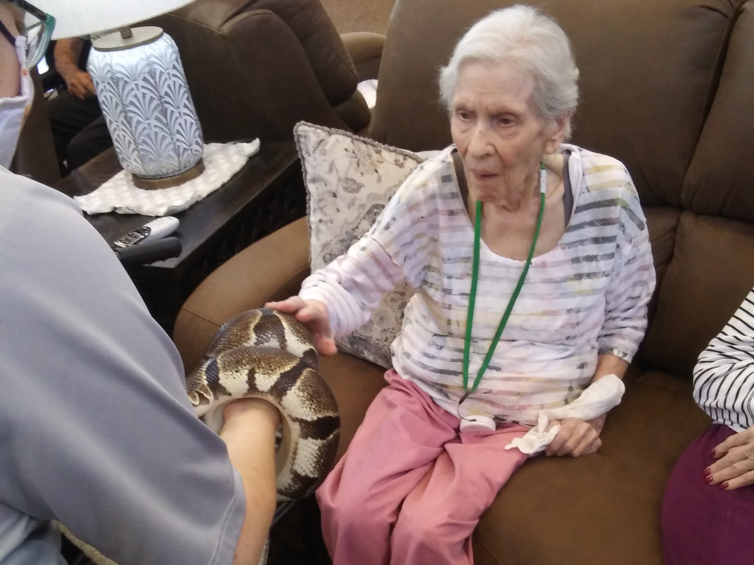 Assisted Living Petting Zoo Snake