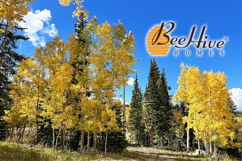 Benefits of Fall Colors with BeeHive Homes of New Mexico Assisted Living